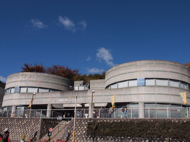 �I�����W�p�[�N